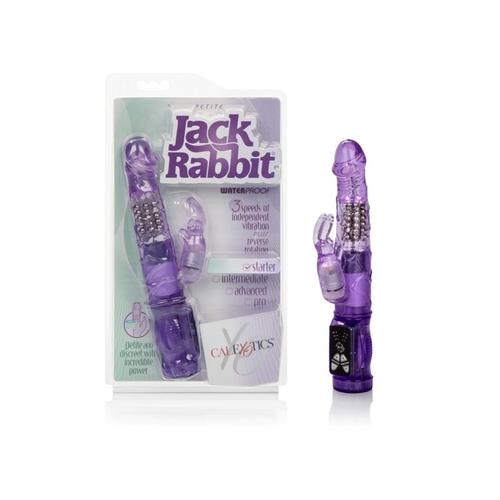 Petite Jack Rabbit - Purple
